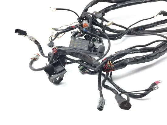 Main Engine Wiring Harness 2005 Harley Road King Classic EFI FLHRCI 3395 2