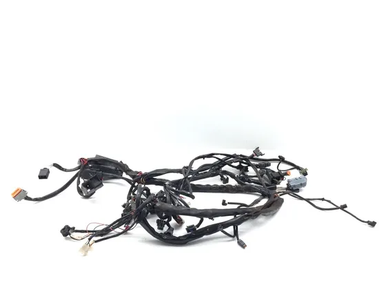 Main Engine Wiring Harness 2005 Harley Road King Classic EFI FLHRCI 3395 5