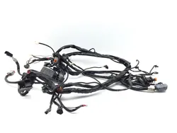 Main Engine Wiring Harness 2005 Harley Road King Classic EFI FLHRCI 3395