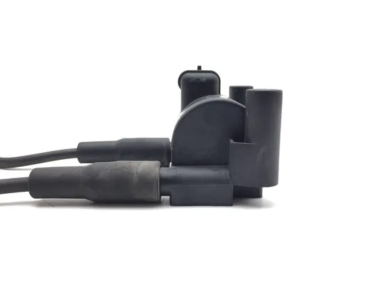 Ignition Coil Set 2011 Harley-Davidson Heritage Softail Classic FLSTC 3394 4