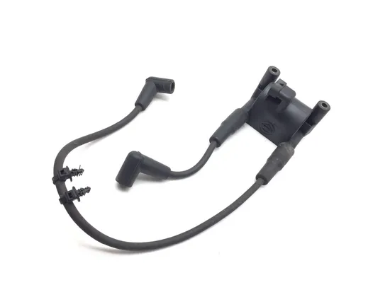 Ignition Coil Set 2011 Harley-Davidson Heritage Softail Classic FLSTC 3394 1