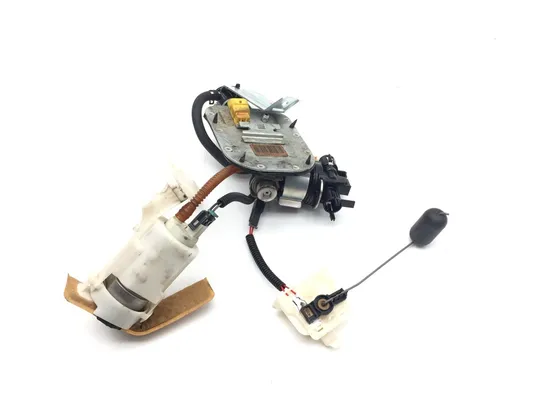 Gas Fuel Tank Pump 2011 Harley-Davidson Heritage Softail Classic FLSTC 3394 1