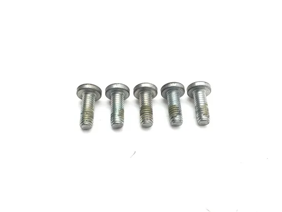 Front Brake Rotor Bolts 2011 Harley-Davidson Heritage Softail Classic FLSTC 3394 2