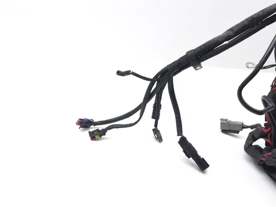 Main Engine Wiring Harness 2011 Harley Heritage Softail Classic FLSTC 3394 2