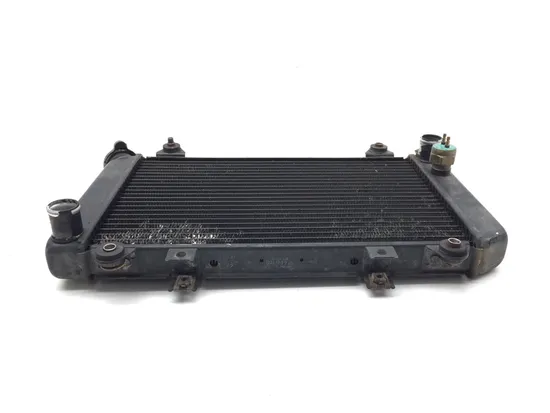 Engine Radiator Cooling 2002 Kawasaki Mule 2510 KAF950A 4x4 Diesel 3380 x 5