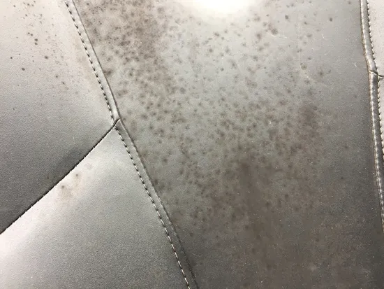 Left Side Driver Seat Back Cushion 2017 Can-Am Commander 800R 4x4 XT DPS 3398 x 2