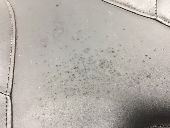 Right Side Passenger Seat Back Cushion 2017 Can-Am Commander 800R 4x4 XT 3398 x 4