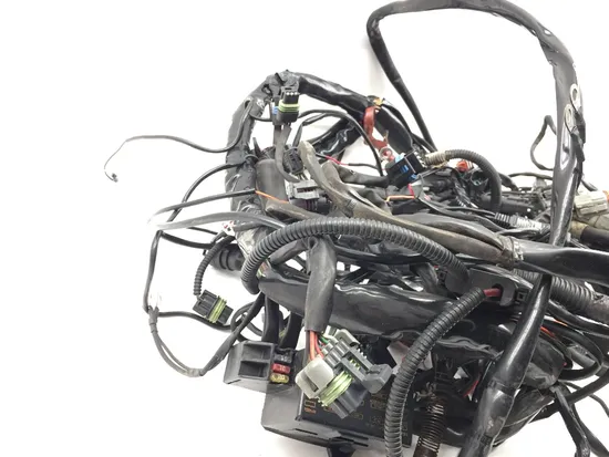 Main Engine Wiring Harness 2004 Harley Electra Glide Ultra Classic EFI 3388 4