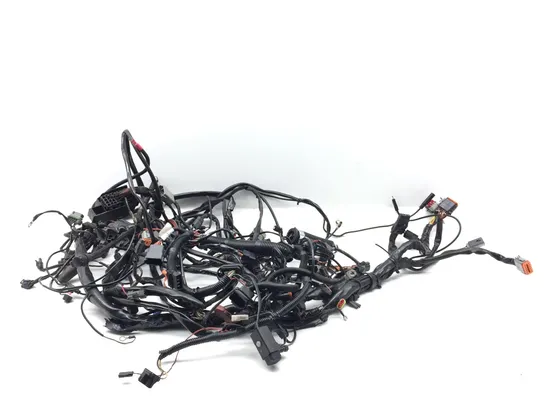 Main Engine Wiring Harness 2004 Harley Electra Glide Ultra Classic EFI 3388 5