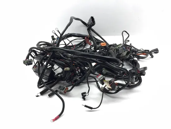 Main Engine Wiring Harness 2004 Harley Electra Glide Ultra Classic EFI 3388 1