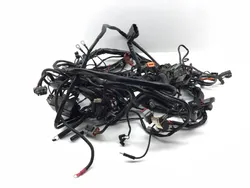 Main Engine Wiring Harness 2004 Harley Electra Glide Ultra Classic EFI 3388