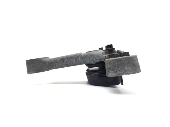 Rear Brake Caliper W Stay 2006 Harley Electra Glide Ultra Classic EFI 3387 4