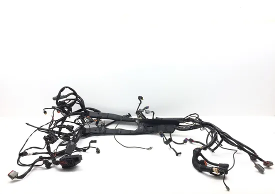 Main Engine Wiring Harness 2006 Harley Electra Glide Ultra Classic EFI 3387 1