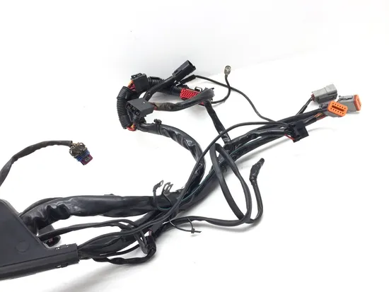 Main Engine Wiring Harness 2006 Harley Electra Glide Ultra Classic EFI 3387 9