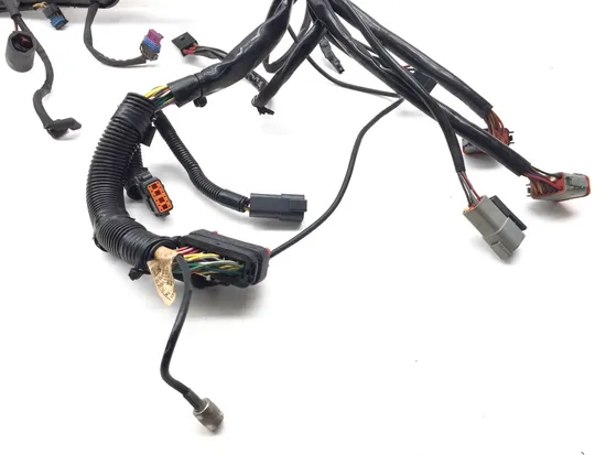 Main Engine Wiring Harness 2006 Harley Electra Glide Ultra Classic EFI 3387 5