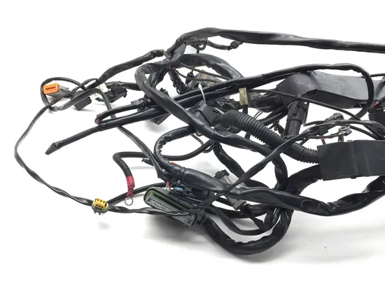 Main Engine Wiring Harness 2006 Harley Electra Glide Ultra Classic EFI 3387 7