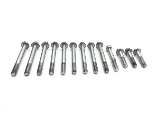 Engine Left Right Center Case Bolts 2023 Indian Scout Rogue ABS 3390 2