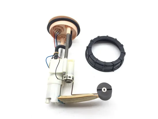 Gas Fuel Tank Pump 2016 Polaris RZR XP 1000 EPS 3396