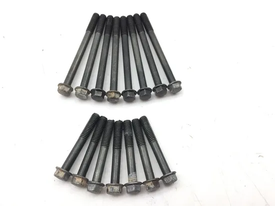 Engine Center Cases Case Bolts 2005 Suzuki Quadsport Z400 LTZ400 2x4 3408 2