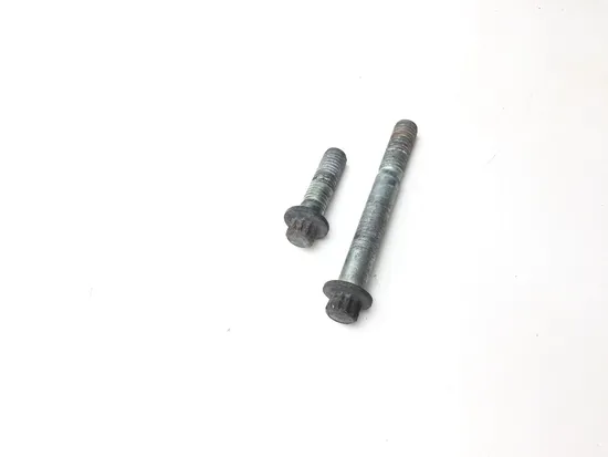 Front Brake Caliper Mounting Bolts 2004 Harley-Davidson Sportster 883 XL883 3407 3