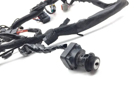 Main Engine Wiring Harness 2004 Harley-Davidson Sportster 883 XL883 3407 x 5
