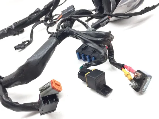 Main Engine Wiring Harness 2004 Harley-Davidson Sportster 883 XL883 3407 x 2