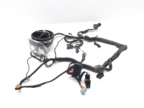 Main Engine Wiring Harness 2004 Harley-Davidson Sportster 883 XL883 3407 x 6