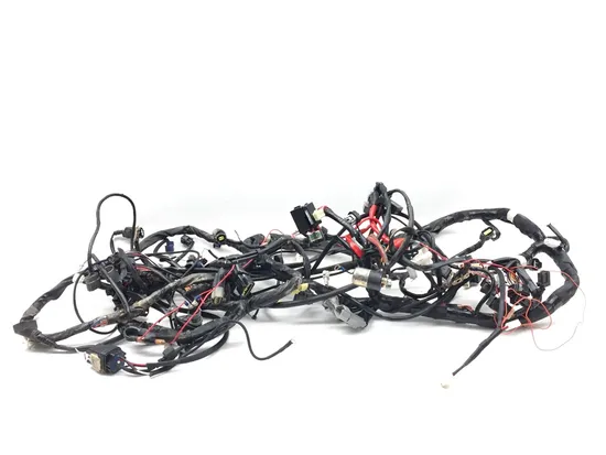 Main Engine Wiring Harness 2017 Yamaha YXZ1000R 3409 x 5