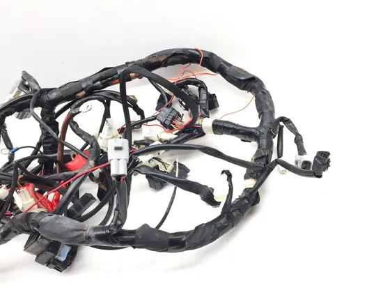 Main Engine Wiring Harness 2017 Yamaha YXZ1000R 3409 x 4
