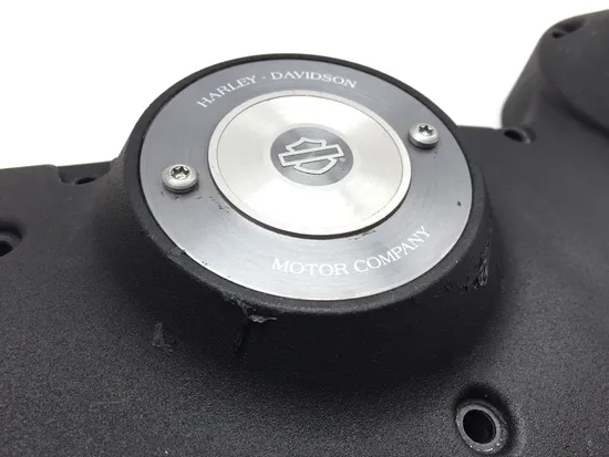 Cam Shaft Cover 2016 Harley-Davidson Iron 883 XL883N 3406 x 2