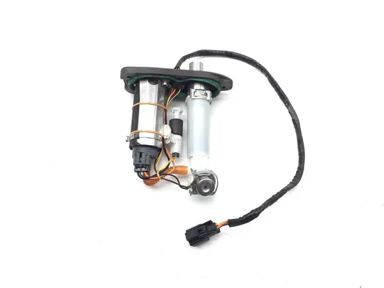 Gas Fuel Tank Pump 2016 Harley-Davidson Iron 883 XL883N 3406 1