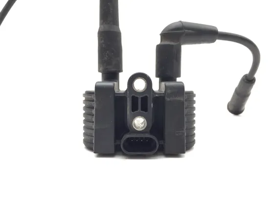 Ignition Coil Set 2016 Harley-Davidson Iron 883 XL883N 3406 5