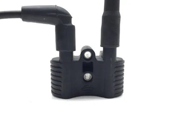 Ignition Coil Set 2016 Harley-Davidson Iron 883 XL883N 3406 3