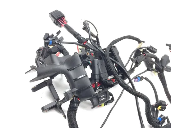 Main Engine Wiring Harness 2016 Harley-Davidson Iron 883 XL883N 3406 5