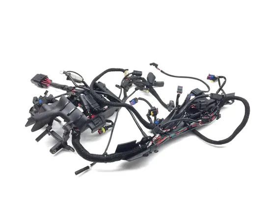 Main Engine Wiring Harness 2016 Harley-Davidson Iron 883 XL883N 3406 4