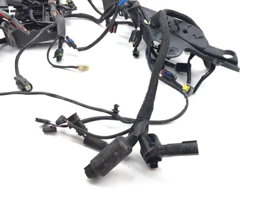 Main Engine Wiring Harness 2016 Harley-Davidson Iron 883 XL883N 3406 3