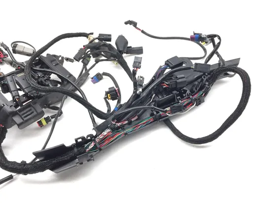 Main Engine Wiring Harness 2016 Harley-Davidson Iron 883 XL883N 3406 6