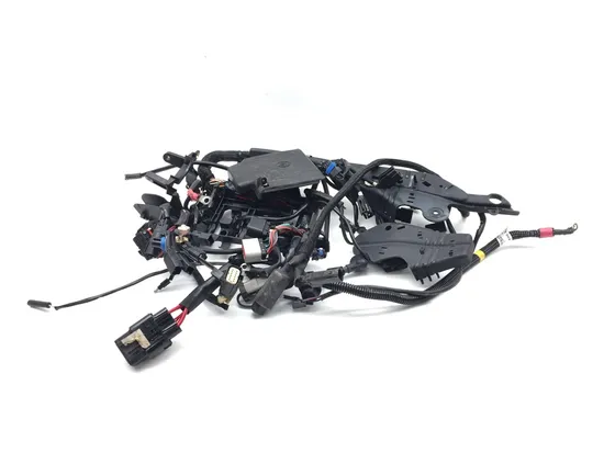 Main Engine Wiring Harness 2016 Harley-Davidson Iron 883 XL883N 3406 1
