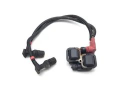 Ignition Coil 2012 Polaris RZR S 800 EFI 3411