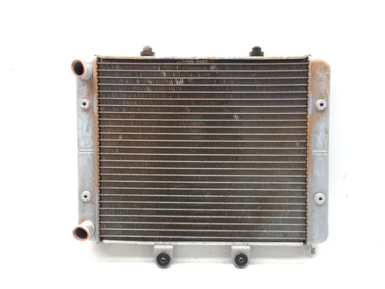 Engine Radiator Cooling 2012 Polaris RZR S 800 EFI 3411 x 1