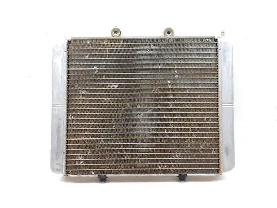 Engine Radiator Cooling 2012 Polaris RZR S 800 EFI 3411 x 8