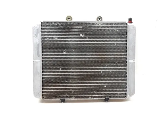 Engine Radiator Cooling 2013 Polaris RZR S 800 EFI 3410 6