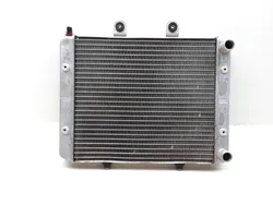 Engine Radiator Cooling 2013 Polaris RZR S 800 EFI 3410