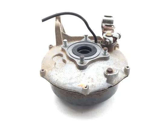 Rear Drum Brake Backing Assembly 2002 Honda Rancher 350 TRX350FE 4x4 ES 3415 x 2