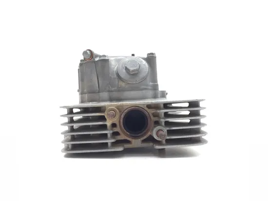 Engine Cylinder Head Complete W Valves 2002 Honda Recon 250 TRX250TE 2x4 ES 3413 10