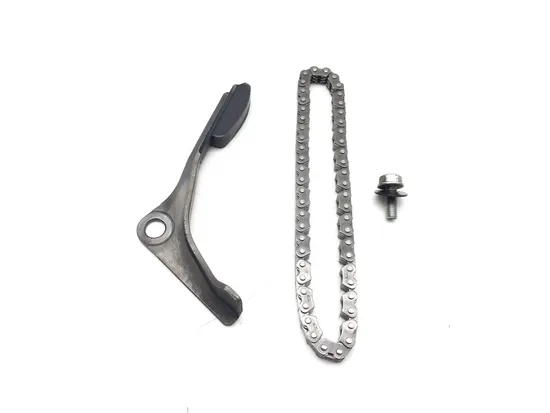 Engine Timing Cam Chain & Guides 2002 Honda Recon 250 TRX250TE 2x4 ES 3413 1