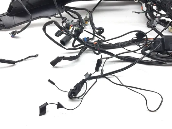 Main Engine Wiring Harness 2007 Harley-Davidson Electra Glide Classic FLHTC 3402 6