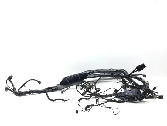 Main Engine Wiring Harness 2007 Harley-Davidson Electra Glide Classic FLHTC 3402 4
