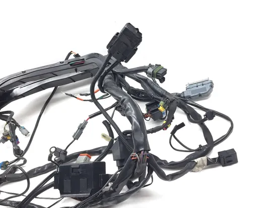Main Engine Wiring Harness 2007 Harley-Davidson Electra Glide Classic FLHTC 3402 7