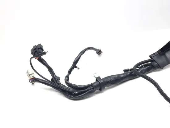 Main Engine Wiring Harness 2007 Harley-Davidson Electra Glide Classic FLHTC 3402 5